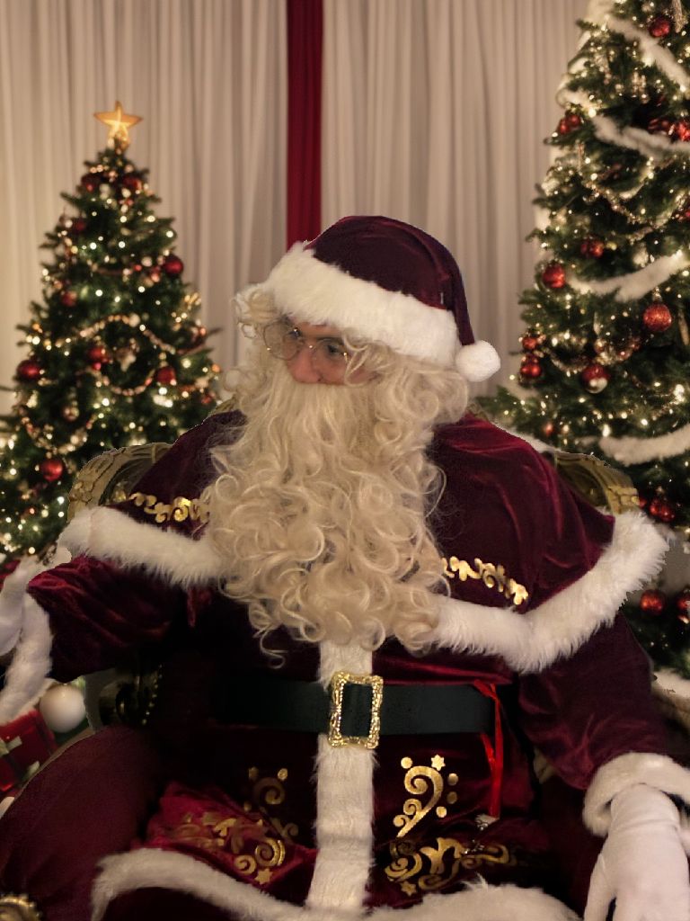 Der Weihnachtsmann auf seinem Weihnachtsthron vor Tannenbäumen